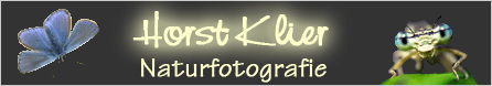 banner-horst-klier Horst Klier